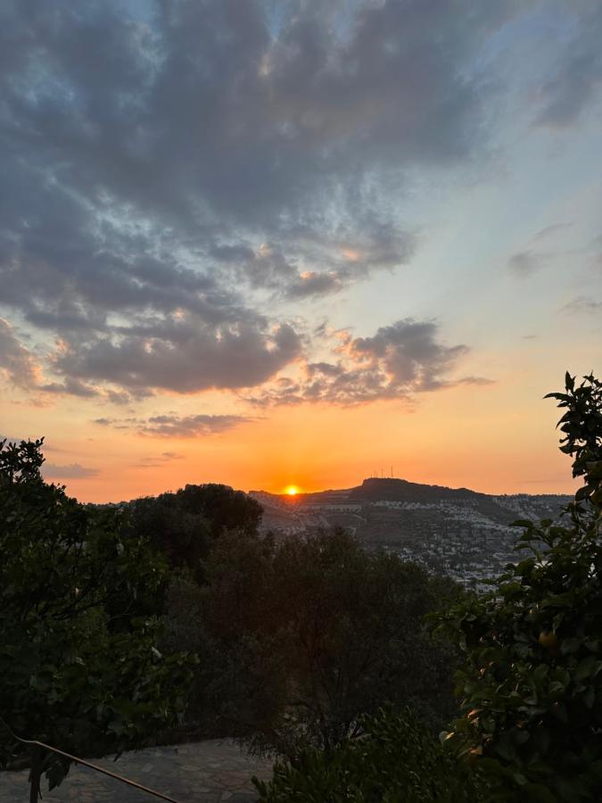 Mandra - Nature Living Bodrum Eksteriør bilde